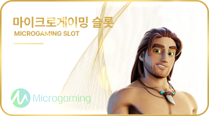 마이크로게이밍 슬롯